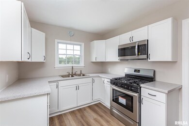 1514 E Pleasant St, Davenport, IA 52803 - photo 5