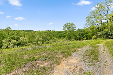 0 Dandy Rd unit 1524756, Signal Mountain, TN 37377 - photo 5