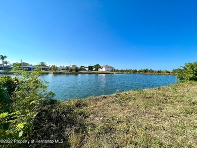 0 Poinsettia Dr unit 2228038, Hernando Beach, FL 34607 - photo 5