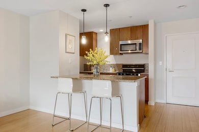 Audubon Park unit 506, Boston, MA 02215 - photo 6