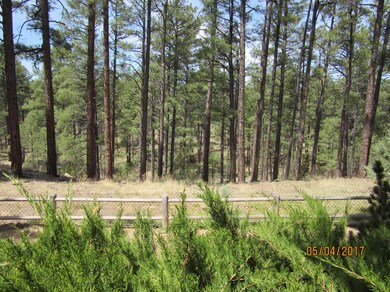 820 N 47th Dr, Show Low, AZ 85901 - photo 2