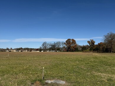 313 Holly Grove Rd, Lascassas, TN 37085 - photo 6