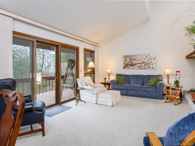 102 Ballantree Dr, Asheville, NC 28803 - photo 7