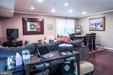 1142 Cove Rd unit 301, Annapolis, MD 21403 - photo 6