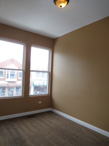 3 W Downer Place unit UPPER, Aurora, IL 60506 - photo 7