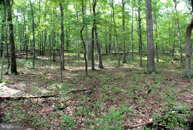 LOT 16 Posy Hill Rd, Wardensville, WV 26851 - photo 6