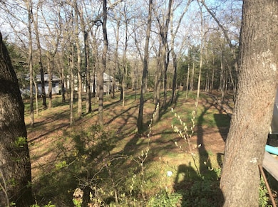 5156 Joe Bald Rd, Kimberling City, MO 65686 - photo 2