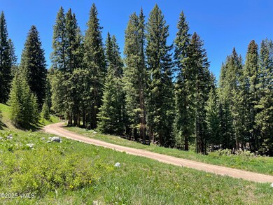 001 Street 8, Eagle, CO 81631 - photo 5