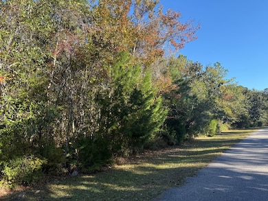 129 Water Oaks Way, Apalachicola, FL 32320 - photo 3