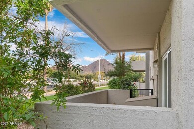 Back Patio View