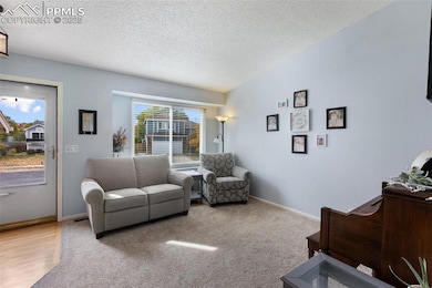 5933 Fossil Dr, Colorado Springs, CO 80923 - photo 3