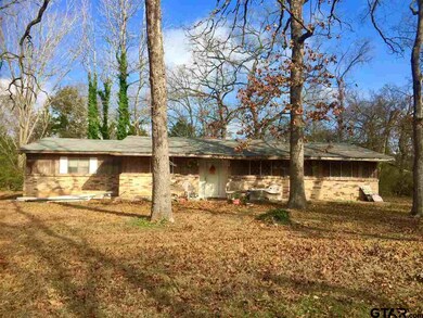 11483 County Road 2246, Tyler, TX 75707 - photo 2