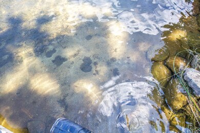 Sandy bottom!
