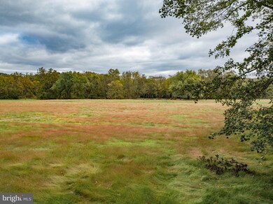0 Easton Rd unit PABU483394, Riegelsville, PA 18077 - photo 5