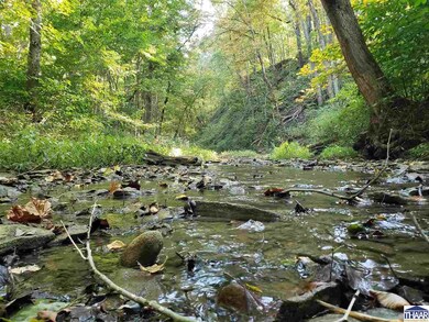 2967 E Flint Rd, Attica, IN 47918 - photo 3