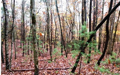 LT 48 D j Ln, Ellijay, GA 30540 - photo 4