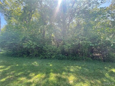 2016 Las Brisas Ln, Pacific, MO 63069 - photo 7