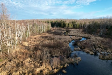 10 Acres Cth N, Crandon, WI 54511 - photo 6