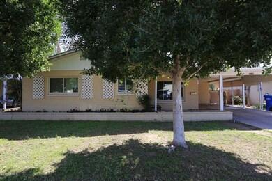 Front View2