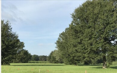 TBD Mandiba Drive Lot 74, Lake City, FL 32024 - photo 4