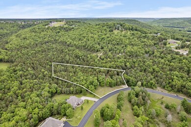 3-web-or-mls-DJI_0148a