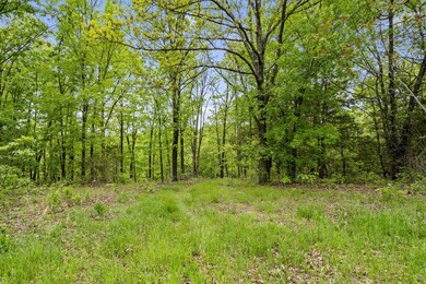 Lot 6 Sapphire Terrace, Ruth B Rural Township, MO 65686 - photo 5