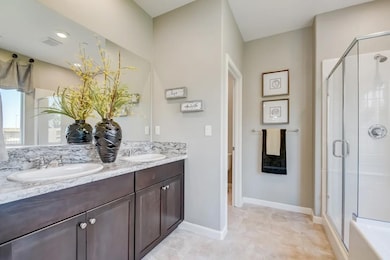 Owner's Bath