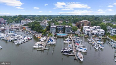 301 Burnside St unit A 202, Annapolis, MD 21403 - photo 4