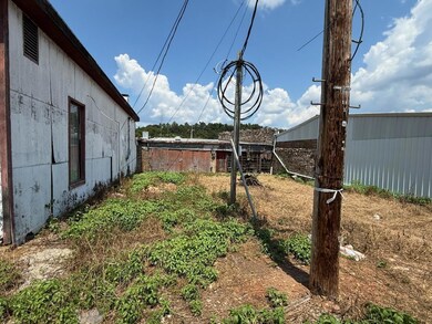 320 Main St, Mammoth Spring, AR 72554 - photo 2