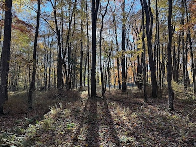 00 Shaffer Run Rd unit LotWP003, Oil City, PA 16301 - photo 6