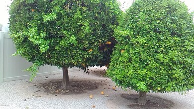 3058 N Jackson Ave, Tucson, AZ 85719 - photo 5