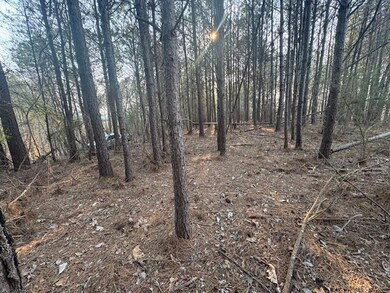 0 Stella Lockard Rd, Cordova, AL 35550 - photo 7