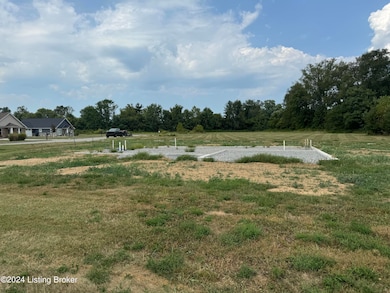 13 Red Leaf Dr, Carrollton, KY 41008 - photo 4