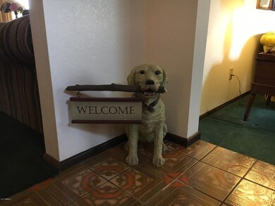 welcome