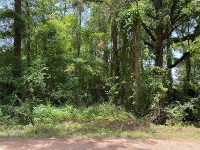 0 Twin Deer, Conroe, TX 77385 - photo 6