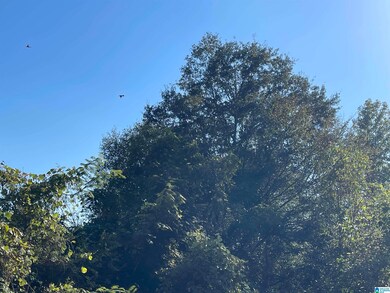 0 Howells Cove Rd unit 21433059, Talladega, AL 35160 - photo 4