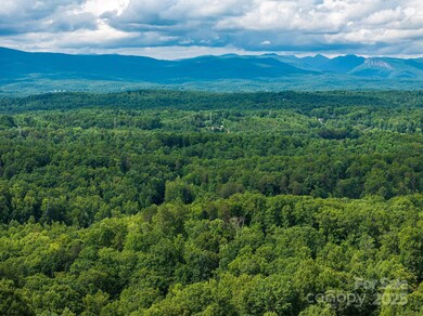 155 Big View Dr unit 155, Marion, NC 28752 - photo 6