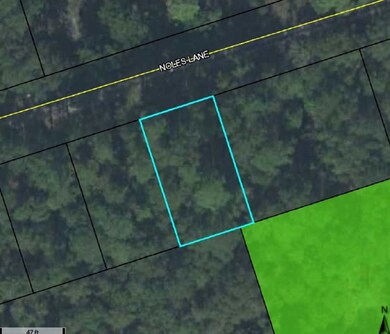 0 Noles Ln unit 302968, Crawfordville, FL 32327 - photo 2