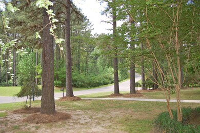 65 Pleasant Pond Loop_front yard