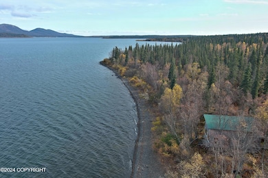 L2B4 Black Bear Rd, Aleknagik, AK 99555 - photo 5