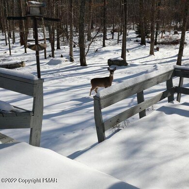 518 Henrys Crossing Rd, Cresco, PA 18326 - photo 4