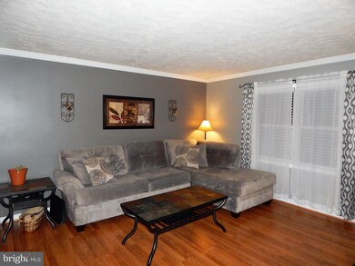 61 Koy Ct, Strasburg, VA 22657 - photo 5