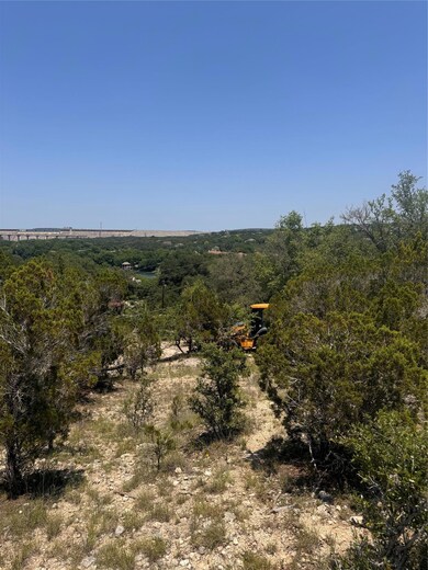 View of tree filled area