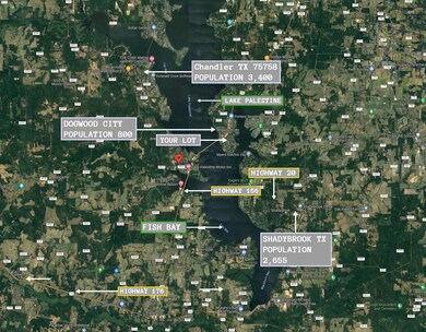 22647 Lakeway Harbor Dr, Flint, TX 75762 - photo 4