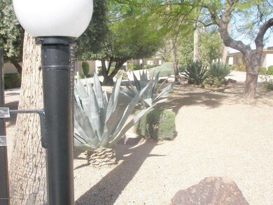 13838 N 109th Ave, Sun City, AZ 85351 - photo 6