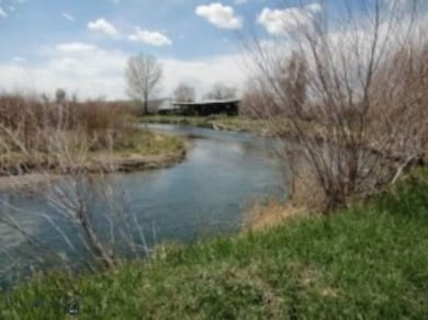 125 Mountain View S, Dillon, MT 59725 - photo 5