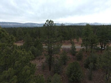 DJI_0022