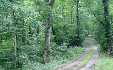 Additional View