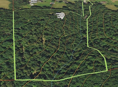 23 acre Parcel wi Topo.2