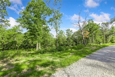 Lot 76 Restore Ridge, Harrison, AR 72601 - photo 4